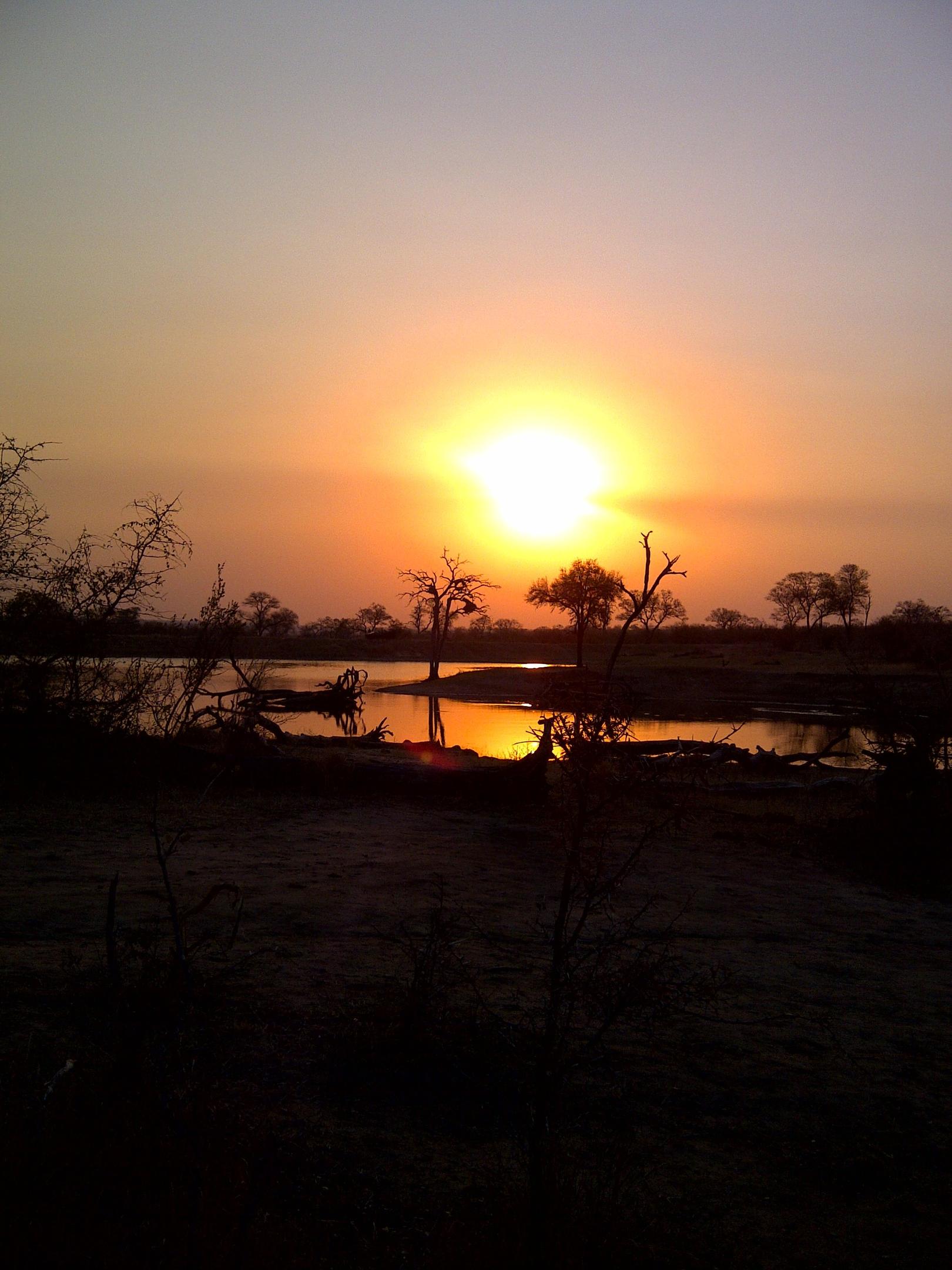 Simbambili Game Lodge: Dämmerung