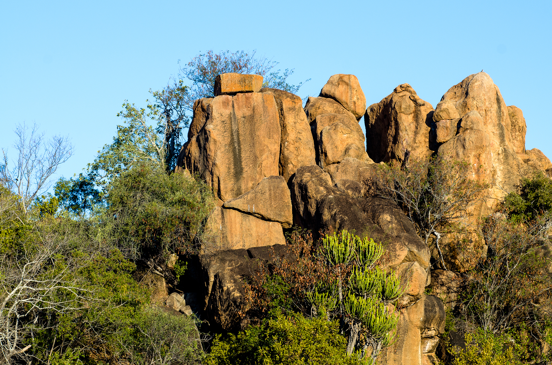 krüger nationalpark, singita, singita lebombo lodge, felsen im busch, impression aus der natur, afrikarma, afrikarma safaris, afrikarma safaris - wildnis. hautnah., afrikarma.de