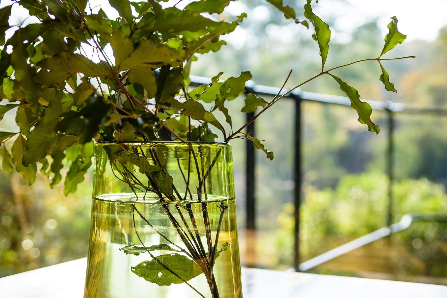 Big 5, Hideaway, Kruger National Park, Krüger-Nationalpark, Singita, Singita Sweni Lodge, Südafrika, Sweni River, Ausblick, Blumenvase, Terrasse, Afrikarma, Afrikarma Safaris, Afrikarma Safaris – Wildnis. Hautnah., afrikarma.de