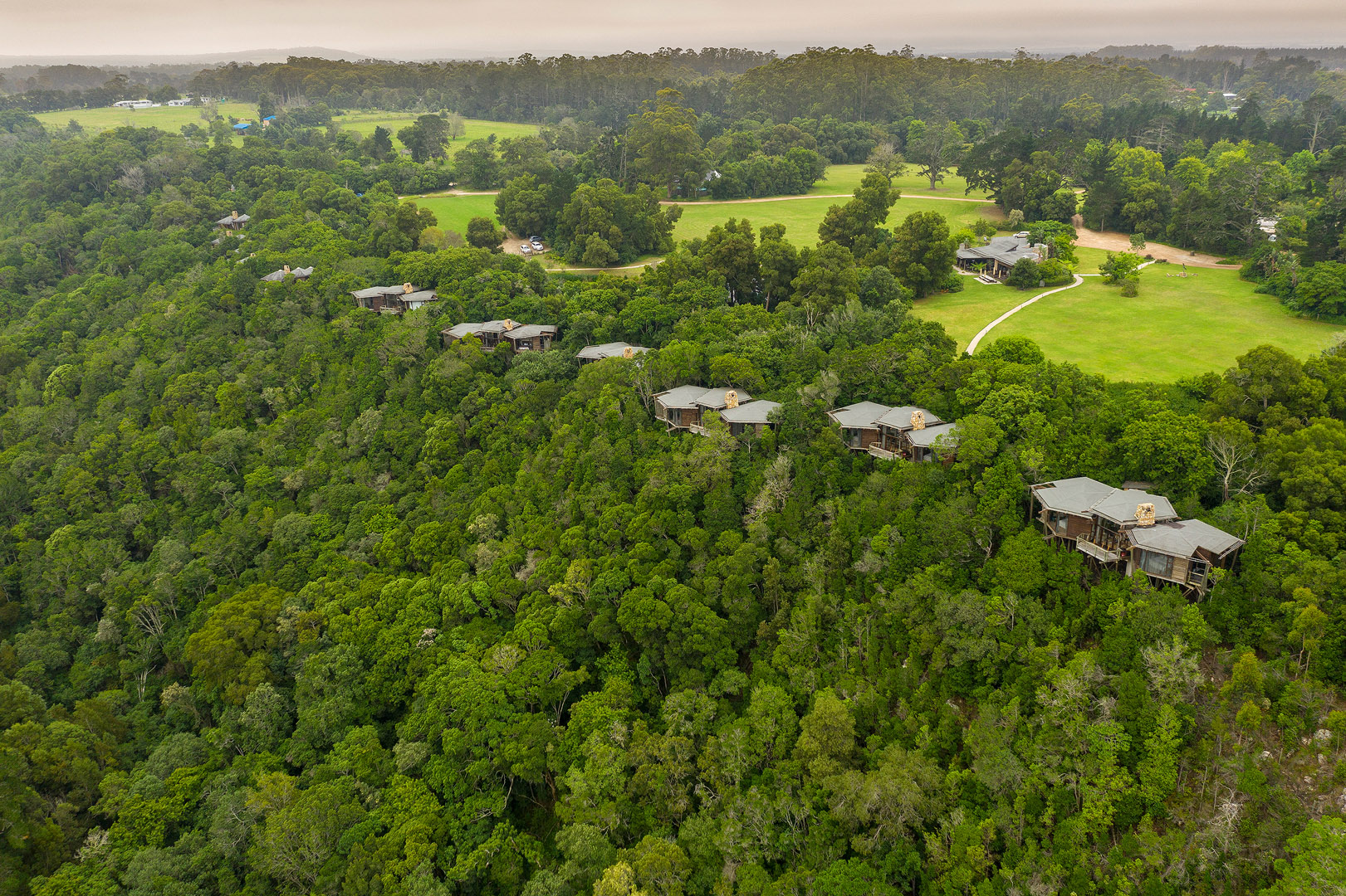 Tsala Treetop Lodge: Gesamtansicht Tsala Treetop Lodge: Gesamtansicht