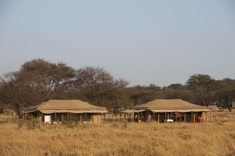 Bologonya, Bologonya Under Canvas, Mobiles Camp, Nationalpark, Serengeti, Tanganyika Wilderness Camps, Tansania, Ausblick, Camp, Lage, Umgebung, Vegetation, Zelte, Afrikarma, Afrikarma Safaris, Afrikarma Safaris - Wildnis. Hautnah., Afrikarma.de