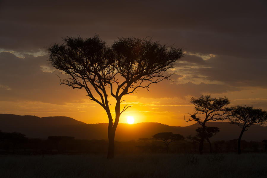 Bologonya, Bologonya Under Canvas, Mobiles Camp, Nationalpark, Serengeti, Tanganyika Wilderness Camps, Tansania, Himmel, Natur, Sonnenuntergang, Umgebung, Vegetation, Afrikarma, Afrikarma Safaris, Afrikarma Safaris - Wildnis. Hautnah., Afrikarma.de