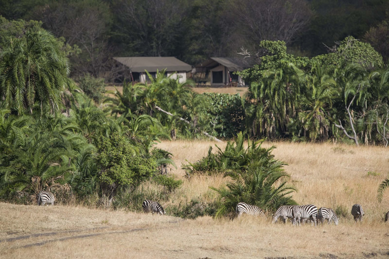 Bologonya, Bologonya Under Canvas, Mobiles Camp, Nationalpark, Serengeti, Tanganyika Wilderness Camps, Tansania, Ausblick, Lage, Tiere, Umgebung, Vegetation, Zebra, Zelte, Afrikarma, Afrikarma Safaris, Afrikarma Safaris - Wildnis. Hautnah., Afrikarma.de