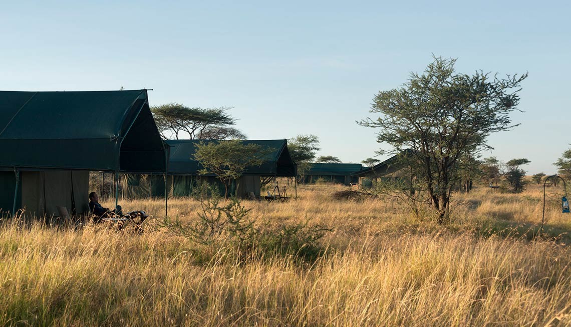 Chaka Camp: Der Blick auf die Gästezelte Chaka Camp, Große Migration, Große Wanderung, Mara River, Masek Lake, Ndutu Lake, Ngorongoro Conservation Area, Serengeti, Tansania, Wandercamp, Gästezelte, Private Veranda, Afrikarma, Afrikarma Safaris, Afrikarma Safaris – Wildnis. Hautnah., afrikarma.de