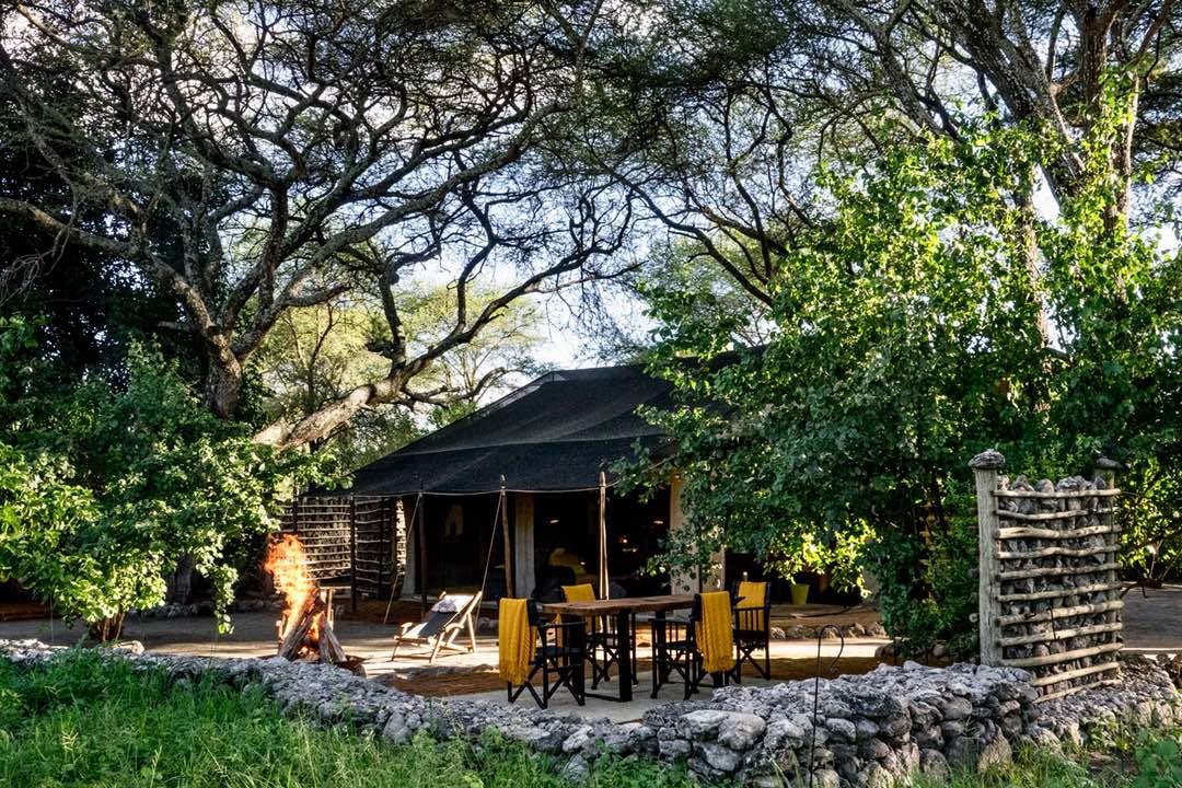 Forest Chem Chem: Terrasse im Zentralbereich