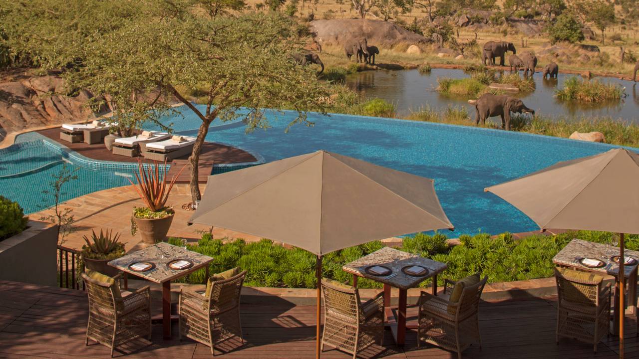 Four Seasons Safari Lodge: Pool und Wasserstelle Safari, Serengeti, Pool, Swimming Pool, Terrasse, Wasserloch, Wasserstelle, afrikarma, afrikarma Safaris, afrikarma.de, afrikarma, afrikarma Safaris, afrikarma.de