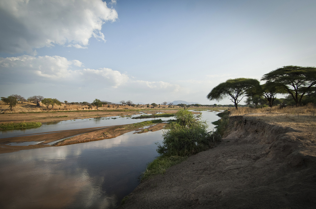 Kigelia Camp: Flusslandschaft