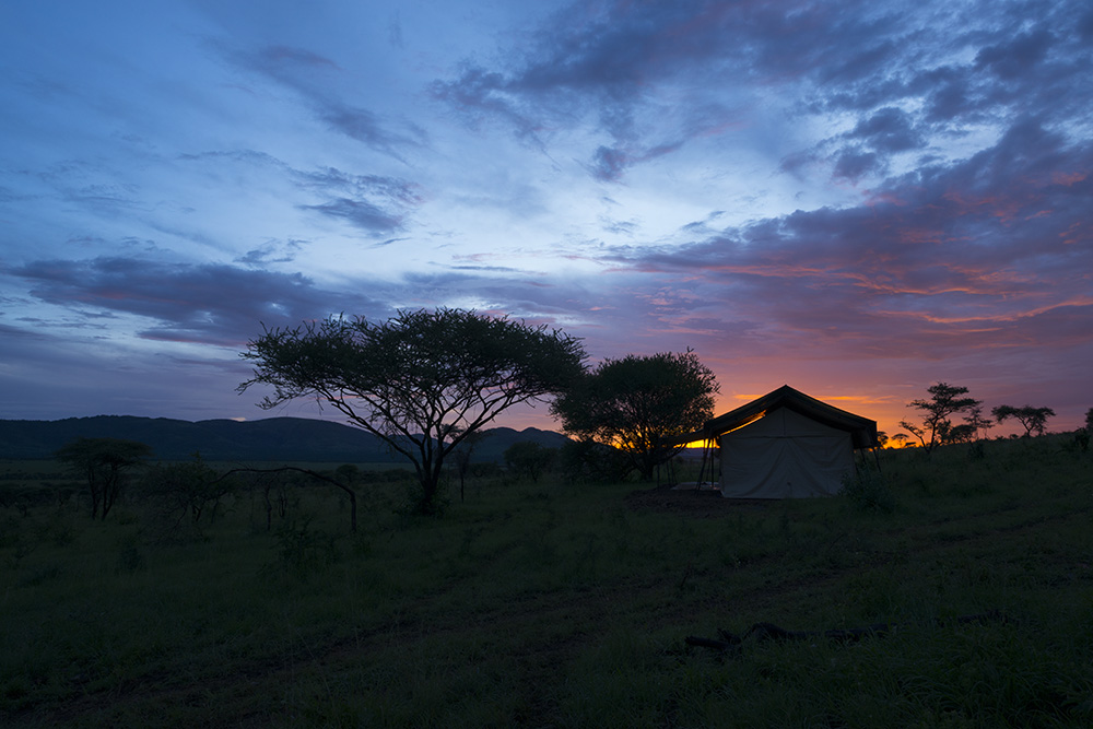 Chaka Camp, Kiota Camp, Serengeti, Gästezelt, Sonnenuntergang, afrikarma, afrikarma Safaris, afrikarma Safaris - Wildnis. Hautnah., afrikarma.de