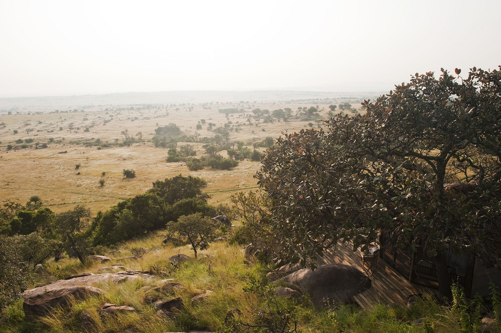 africa, afrika, afrikarma, all inclusive, ansehen, antilopen, auszeichnung, award, bilder, buchen, buchung, büffel, buschwanderung, buschwanderungen, click here, east africa, familien, fly and transfer, gallerie, geführte buschwanderung, gnu, gnus, great migration, guided walk, hier klicken, information, informieren, kinder, klicken, kogakuria kopjes, lamai, lamai serengeti, leopard, löwe, main lodge, mara, mara river, migration, nachhaltigkeit, nomad, nomad tanzania, ostafrika, pirschfahrt, pirschfahrten, planen, planung, pool, private lodge, reise, reisen, reiseveranstalter, safari, safari awards, safaris, selbstfahrer, serengeti, serengeti national park, serengeti-nationalpark, swimming pool, swimmingpool, tansania, tanzania, tierwanderung, urlaub, vollpension, www.afrikarma.de, ausblick, aussicht, landschaft