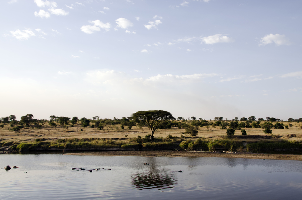 Lamai Serengeti: Mara River