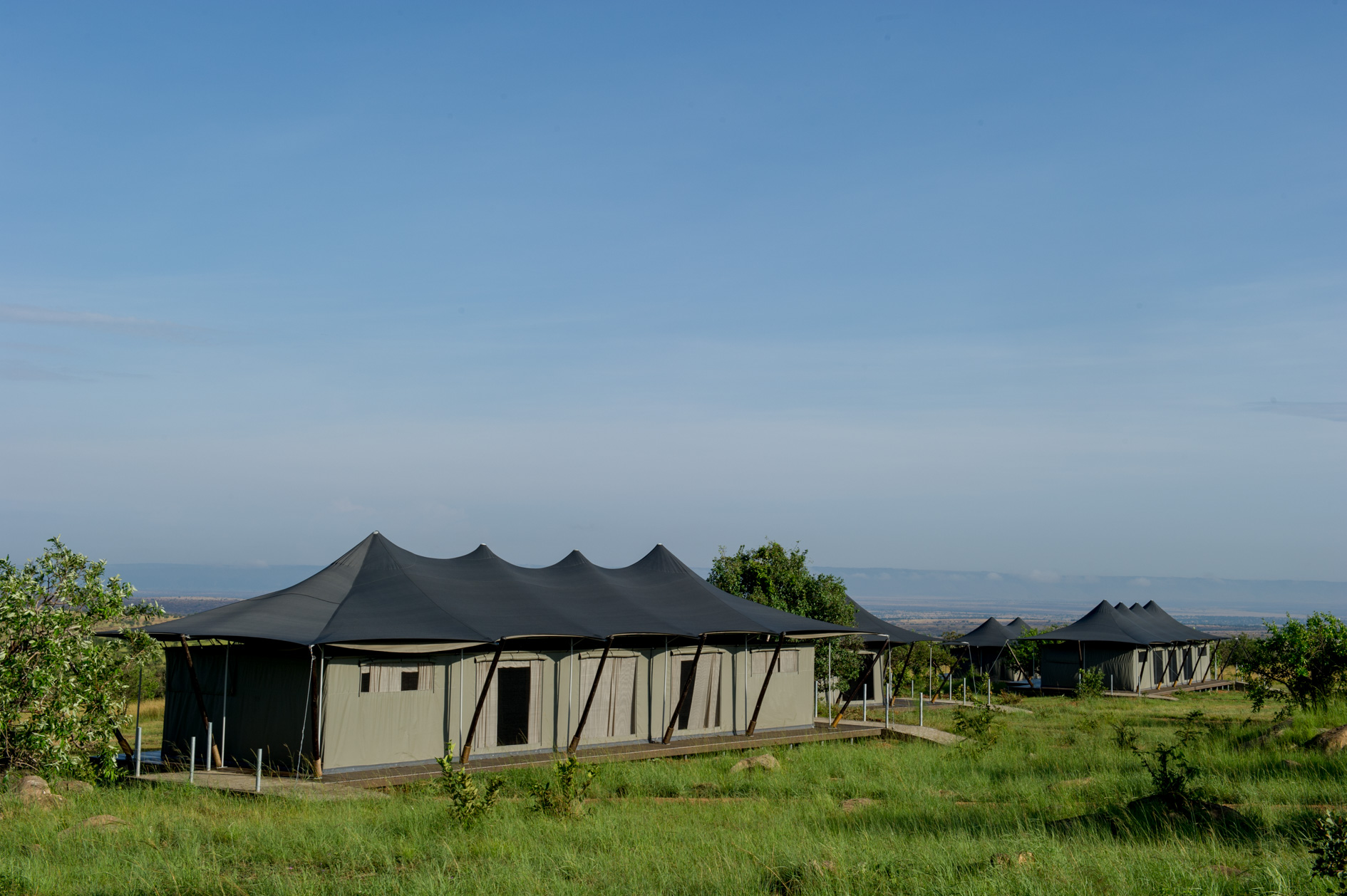 Kogatende, Mara River, Mara Mara Tented Lodge, Serengeti, Tanganyika Wilderness, Gästezelt, Afrikarma, afrikarma Safaris, afrikarma Safaris - Wildnis. Hautnah., Afrikarma.de