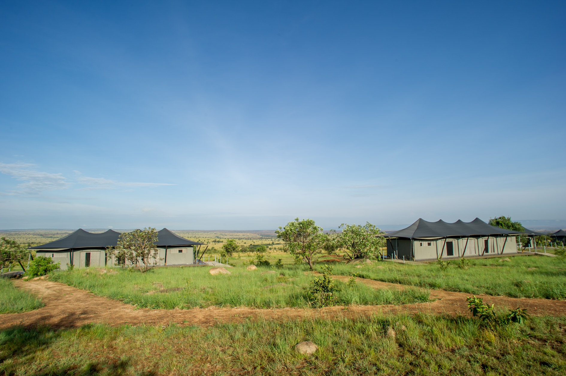 Kogatende, Mara River, Mara Mara Tented Lodge, Serengeti, Tanganyika Wilderness, Gästezelt, Afrikarma, afrikarma Safaris, afrikarma Safaris - Wildnis. Hautnah., Afrikarma.de