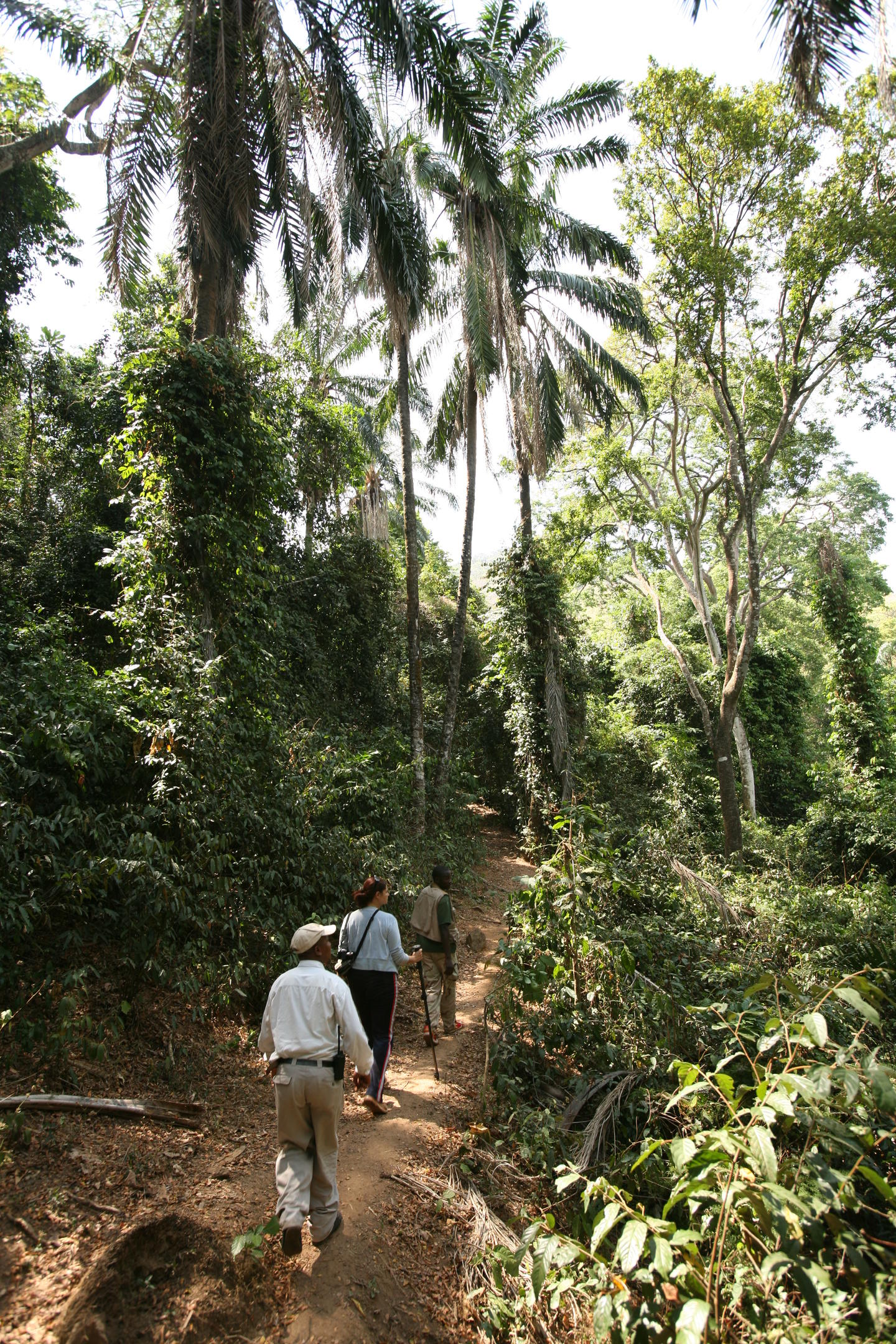 Mbali Mbali Gombe Lodge: Unterwegs