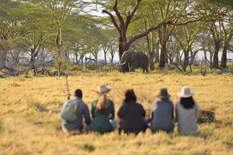 Namiri Plains Camp: Walking Safari