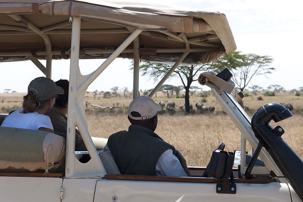 Great Migration, Mobiles Camp, Sanctuary Retreats, Sanctuary Serengeti Migration Camp, Serengeti, Tierwanderung, Game Drive, Afrikarma, Afrikarma Safaris, Afrikarma Safaris - Wildnis. Hautnah., afrikarma.de