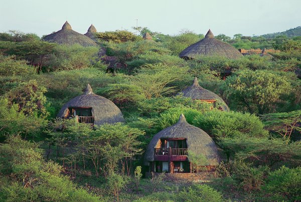 Serengeti Serena Safari Lodge: Gästerondavels