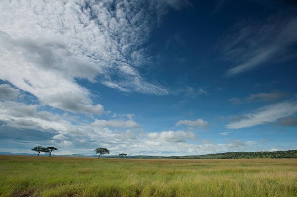 Serengeti Serena Safari Lodge: Himmel über der Serengeti