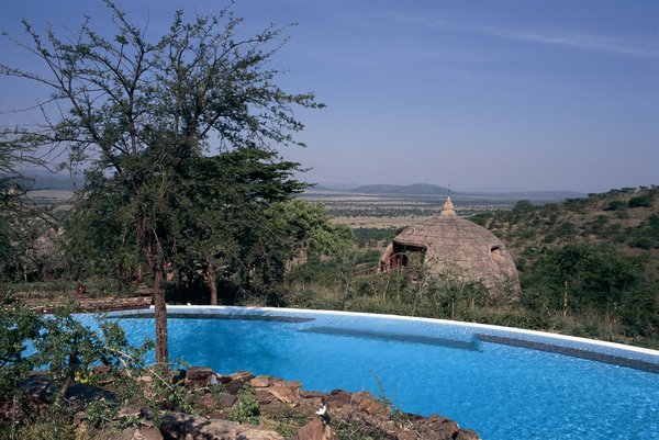 Serengeti Serena Safari Lodge: Swimming Pool