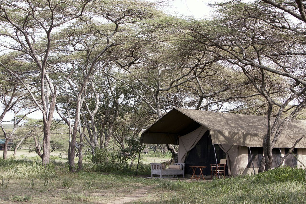 Serian Serengeti South: Gästezelt afrikarma, afrikarma Safaris, afrikarma.de, Serian Serengeti South, Gästezelt, Dinner, Safari