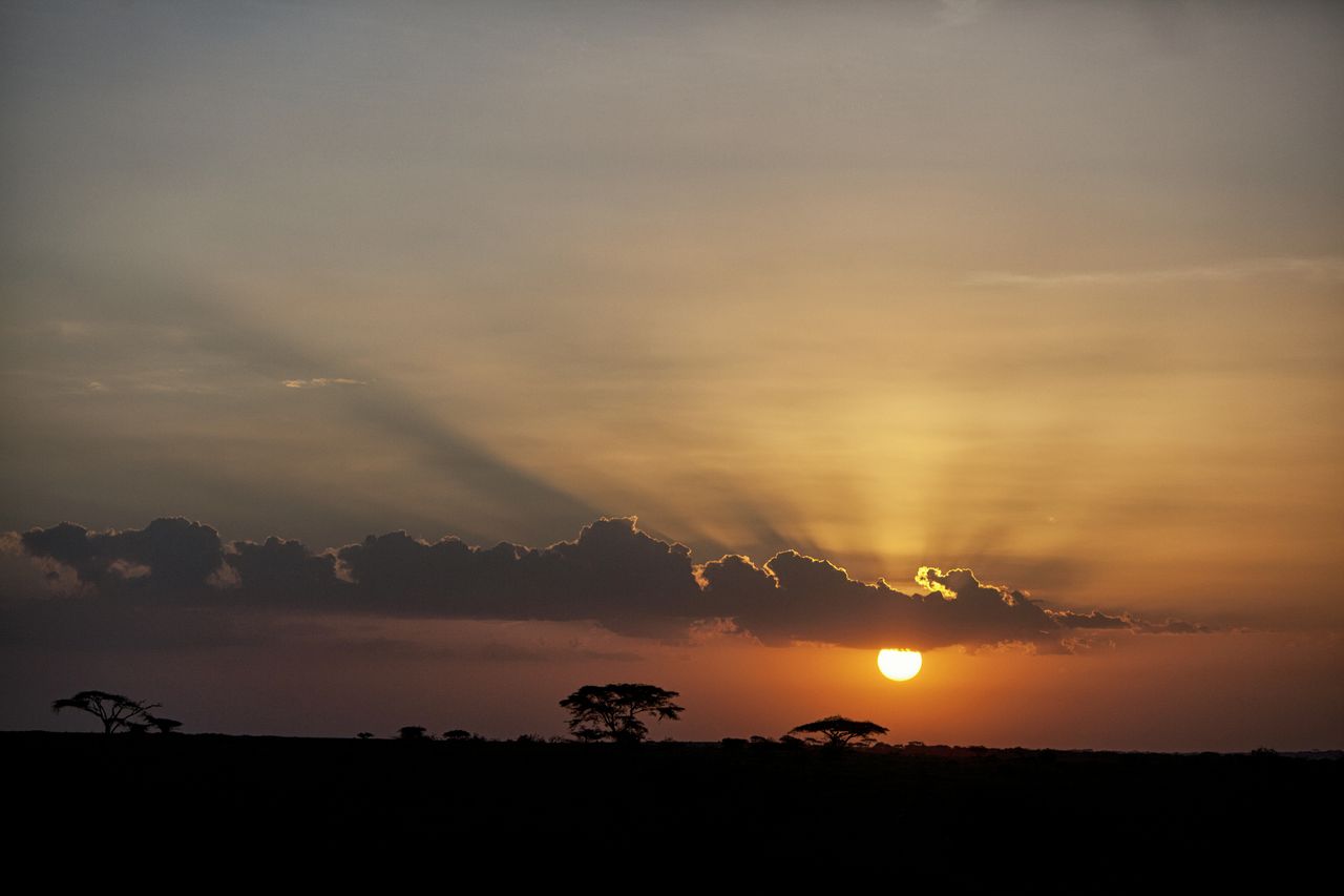 Serian Serengeti South: Sonnenuntergang afrikarma, afrikarma Safaris, afrikarma.de, Serian Serengeti South, Landschaft, Sonnenuntergang, Dinner, Safari