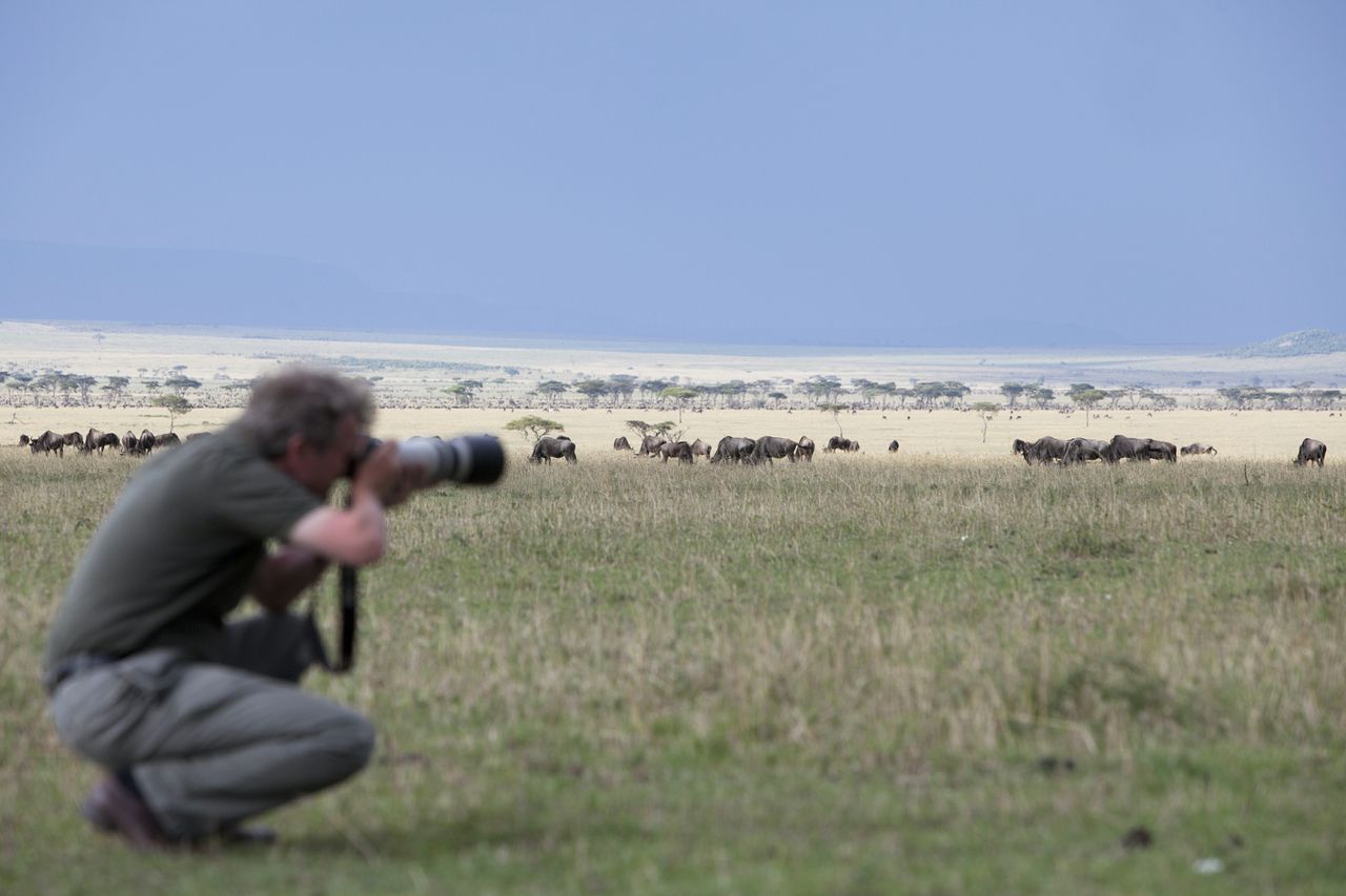 Serian Serengeti South: Tierherde und ihr Beobachter afrikarma, afrikarma Safaris, afrikarma.de, Serian Serengeti South, Gnu, Landschaft, Photograph, Savanne, Tierwanderung, Dinner, Safari