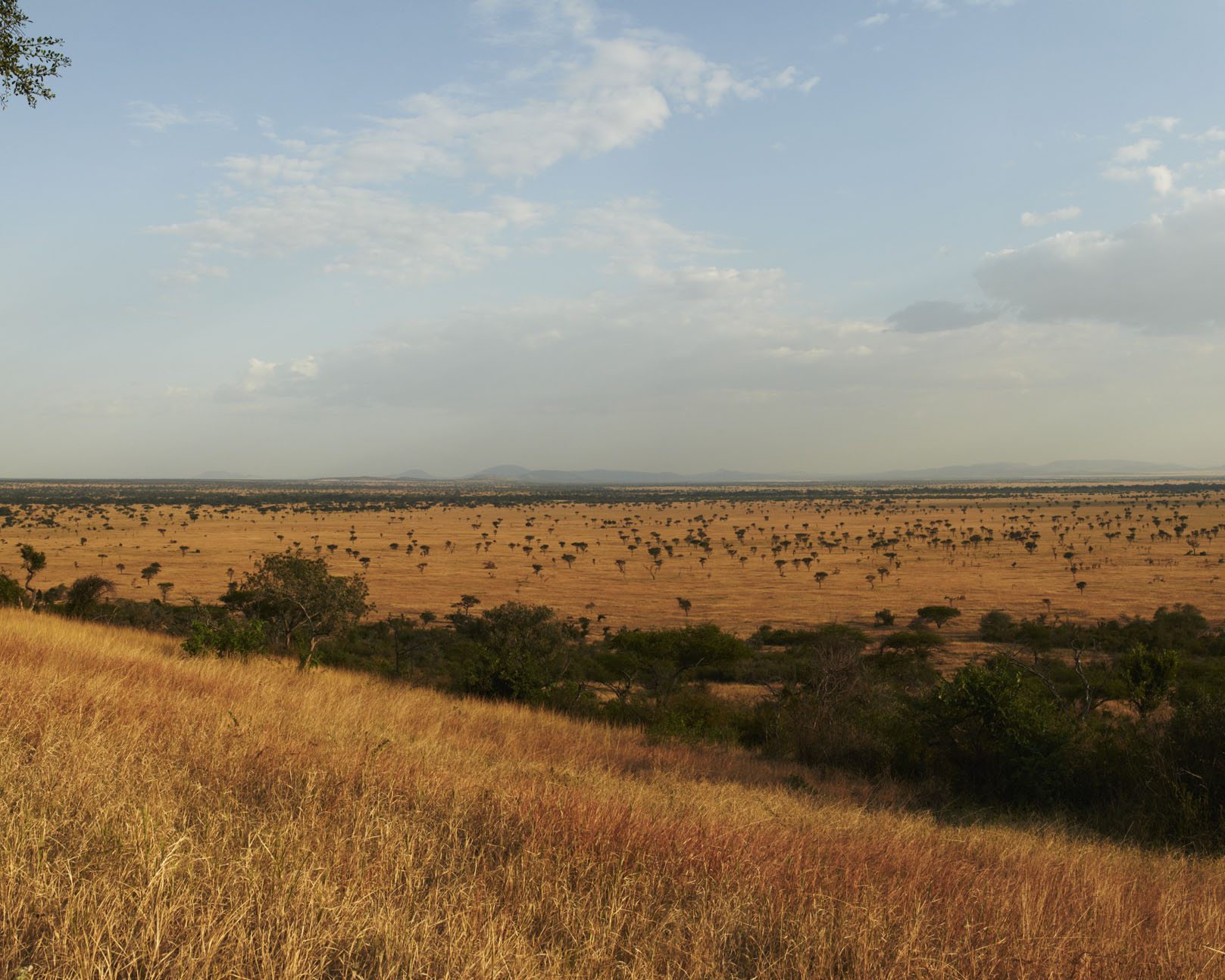 5 sterne, africa, afrika, afrikarma, auszeichnung, award, babysitter, bilder, buchen, buchung, büffel, butler, butlerservice, east africa, elefant, exklusiv, exklusivnutzung, familie, gallerie, geführte buschwanderungen, grumeti, grumeti reservat, grumeti reserve, heißluftballon, information, informieren, kinder, kinderbetreuung, koch, leopard, life in balance, löwe, luxuriös, luxus, massage, mobil, mobile camp, mobiles camp, nachhaltigkeit, nachtpirschfahrten, nashorn, nordtansania, north tanzania, northern tanzania, ostafrika, pferde, pirschfahrten, privat, privatreservat, privatsphäre, reise, reisen, reiseveranstalter, reiten, safari, Singita, singita explore, singita explore mobile tented camp, singita grumeti reserve, singita mobile, spa, spitzmaulnashorn, tansania, tanzania, urlaub, www.afrikarma.de, zimmerservice, ebene, himmel, landschaft