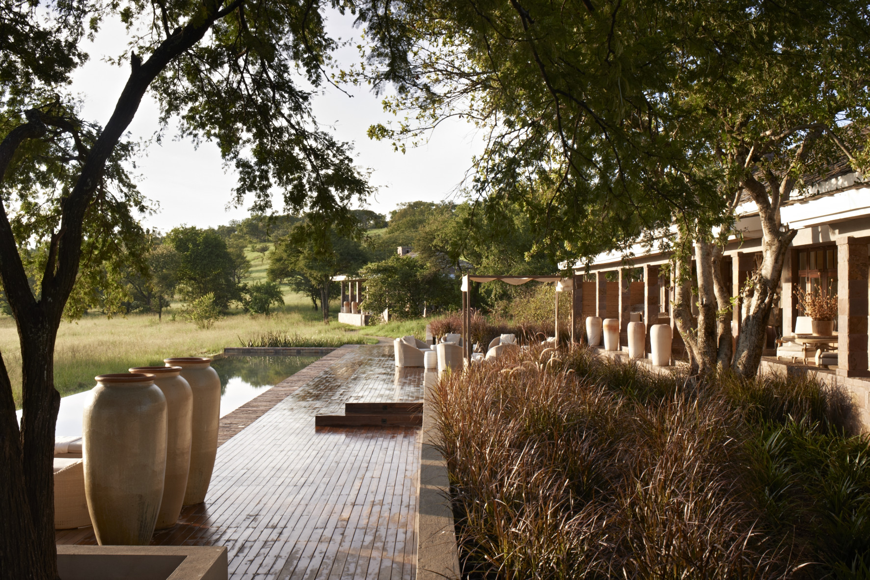 afrikarma, babysitter, biking, bilder, buchen, büffel, buschwanderung, butler, butlerservice, elefanten, environmental education centre, equestrian centre, familien, gnu, great migration, grumeti, infinity pool, information, informieren, kinder, kinderprogramm, leopard, life in balance, löwe, luxuriös, luxus, migration, mountain bike, nachhaltigkeit, nördliches tansania, nordtansania, north tanzania, northern tanzania, pferde, pirschfahrt, privat, reise, reisen, reiseveranstalter, reiten, reiter, sasakwa, sasakwa hill, sasakwa lodge, serengeti house, serengeti mara, singita, singita airstrip, singita equestrian centre, singita grumeti reserve, singita reserve, singita sasakwa lodge, Singita serengeti house, singita-grumeti-reservat, singita-reservat, spa, spitzmaulnashorn, sport, swimming pool, tansania, tanzania, tennis, urlaub, vollpension, wein, weinkeller, www.afrikarma.de, zebra, aktivitäten, central facilities, deck, main area, pool, schwimmen, zentrale Einrichtungen