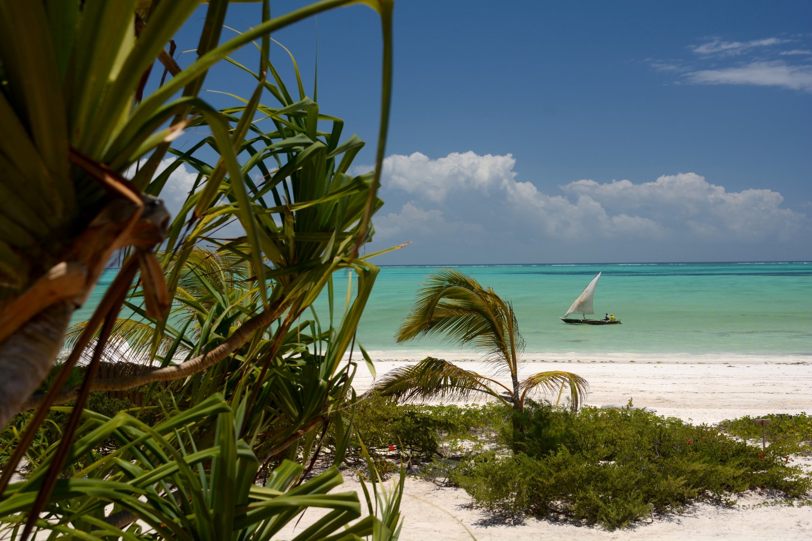 Tony Leslie, Zanzibar White Sand Luxury Villas, Garten, Indik, Meer, Palmen, Strand, Paje, Sansibar, Afrikarma, Afrikarma Safaris, Afrikarma Safaris - Wildnis. Hautnah., Afrikarma.de