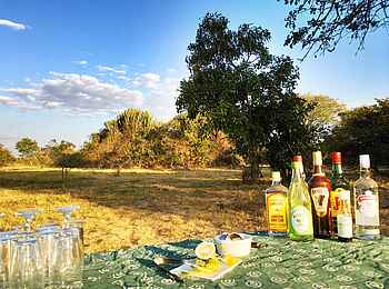 Ntemwa Busanga Bushcamp: Sundowner im Busch