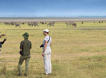 andBeyond Lake Manyara Tree Lodge: Wandersafari