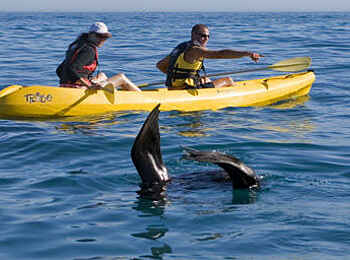 Birkenhead House: Ein Ausflug mit den Kayak Birkenhead House: Ein Ausflug mit den Kayak