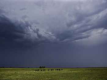 Busanga Bush Camp: Gewitter im Anzug Busanga Bush Camp: Gewitter im Anzug