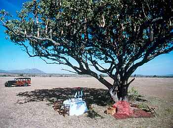 Cottar's 1920s Safari Camp: Frühstück im Busch