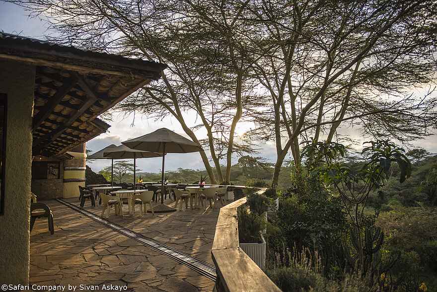 Hatari Lodge: Haupthaus-Terrasse Hatari Lodge: Haupthaus-Terrasse