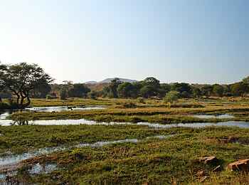 Jongomero Camp: Üppig grüne Flusslandschaft