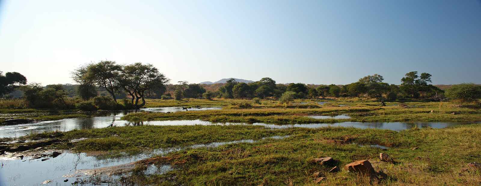 Jongomero Camp: Üppig grüne Flusslandschaft Jongomero Camp: Üppig grüne Flusslandschaft