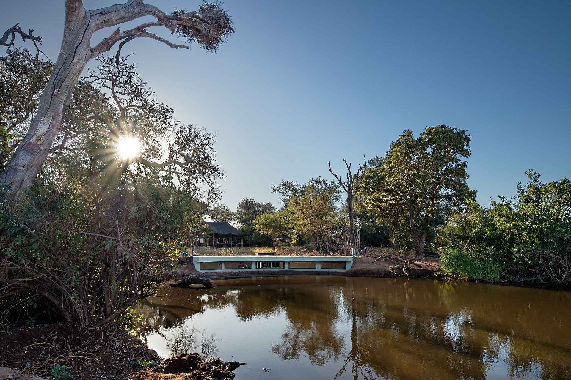 King's Camp: Fotohide am Wasserloch King's Camp: Fotohide am Wasserloch