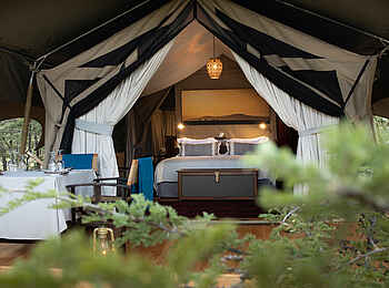 Mara Expedition Camp: Blick ins Gästezelt