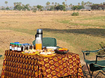 Mwagusi Safari Camp: Frühstück im Gelände
