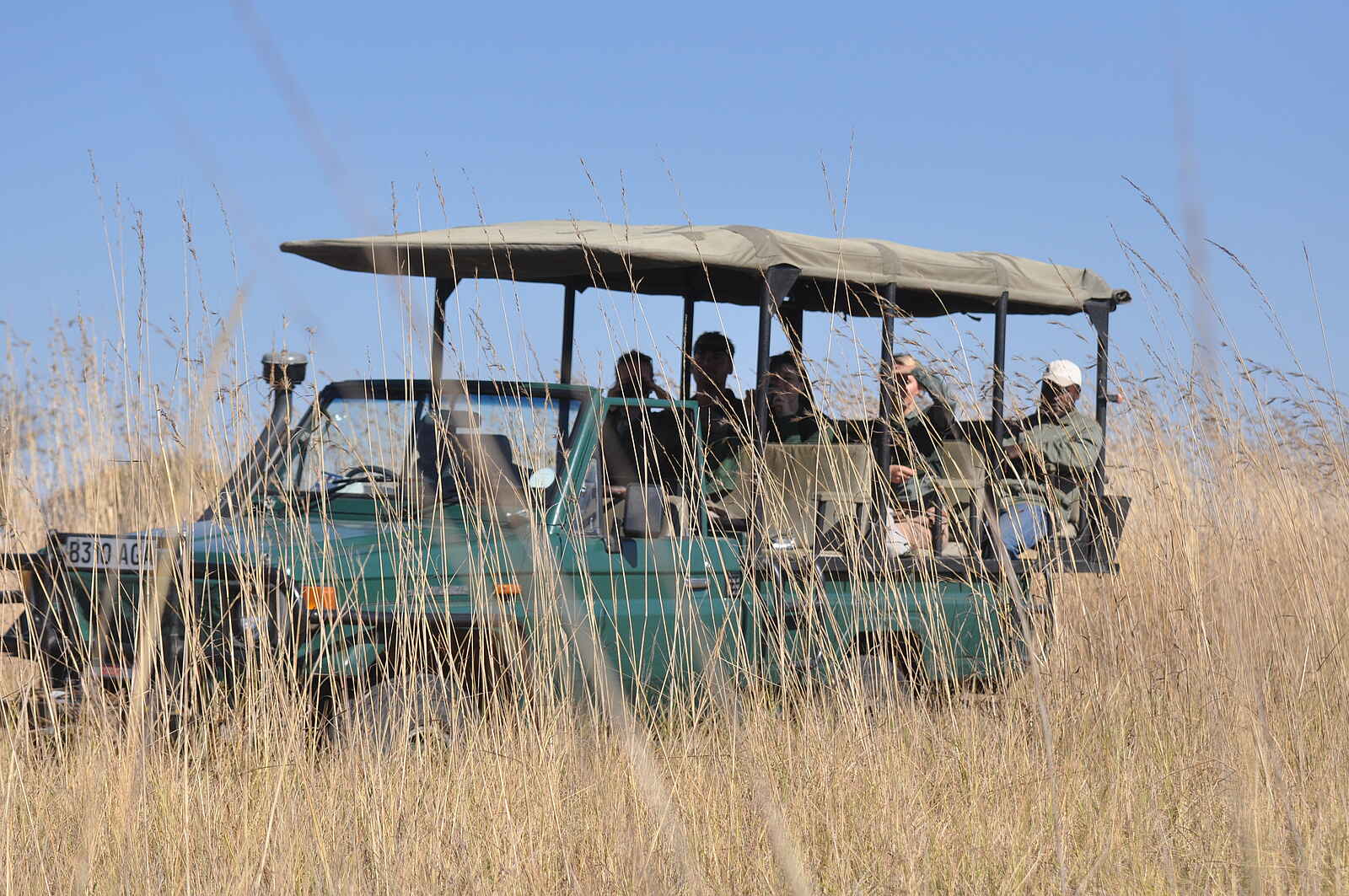 Nanzhila Plains Safari Camp: Game Drive Nanzhila Plains Safari Camp: Game Drive