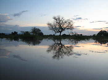 Robin Pope River Journeys: Hochwasser