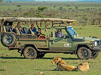 Saruni Leopard Hill: Löwen Saruni Leopard Hill: Löwen