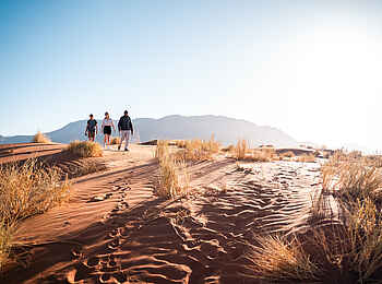 Wolwedans Desert Lodge: Walking Safari Wolwedans Desert Lodge: Walking Safari