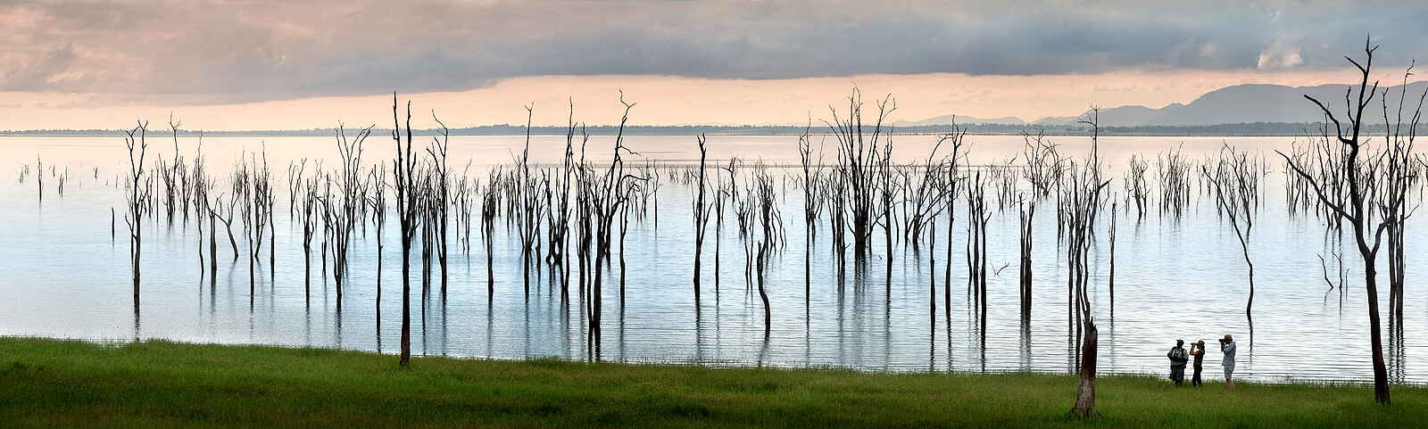 Bumi Hills Safari Lodge: Versunkener Wald Bumi Hills Safari Lodge: Versunkener Wald