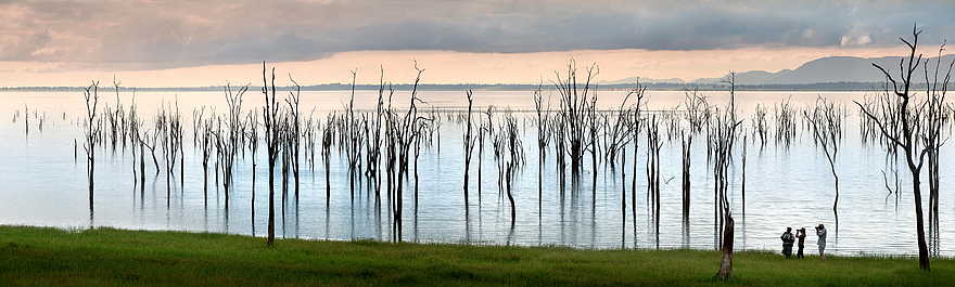 Bumi Hills Safari Lodge: Versunkener Wald Bumi Hills Safari Lodge: Versunkener Wald