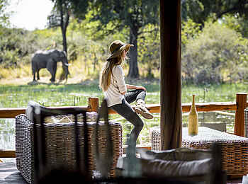 Chief's Camp: Elefanten kommen nah ans Camp heran