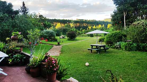 Luwawa Forest Lodge: Blick in den Garten Luwawa Forest Lodge: Blick in den Garten
