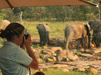 Makweti Safari Lodge: Elefantenherde am Wasserloch