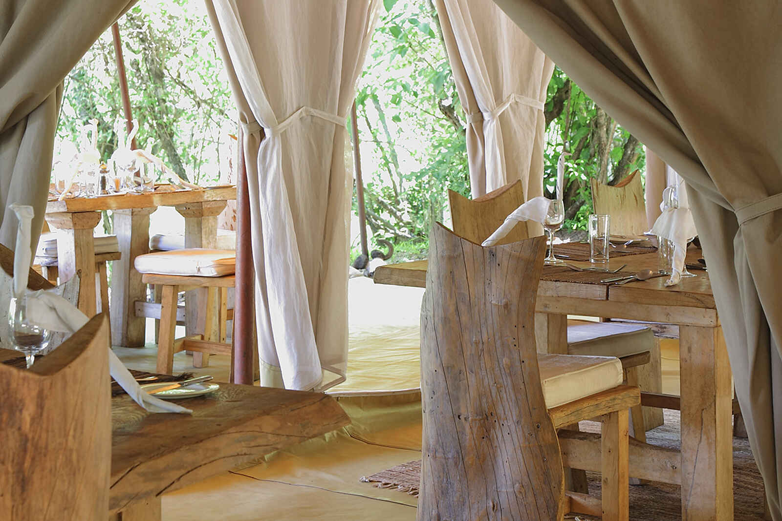 Naibor Camp: Hölzern eingerichtetes Zelt Naibor Camp: Hölzern eingerichtetes Zelt