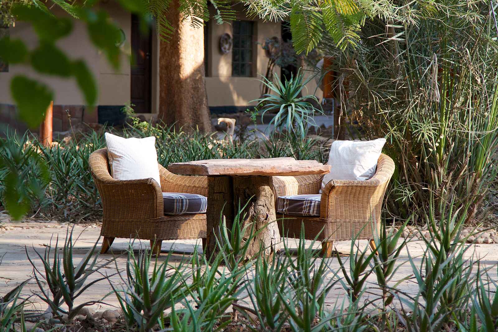 Tuli Safari Lodge Mashatu: Lauschiges Plätzchen Tuli Safari Lodge Mashatu: Lauschiges Plätzchen